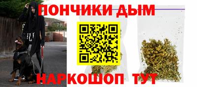 крисы Будённовск