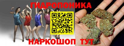крисы Будённовск