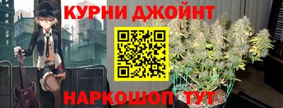 крисы Будённовск