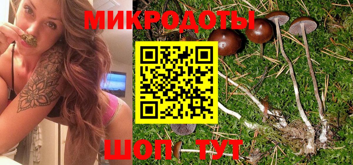 Псилоцибиновые грибы ЛСД Саянск